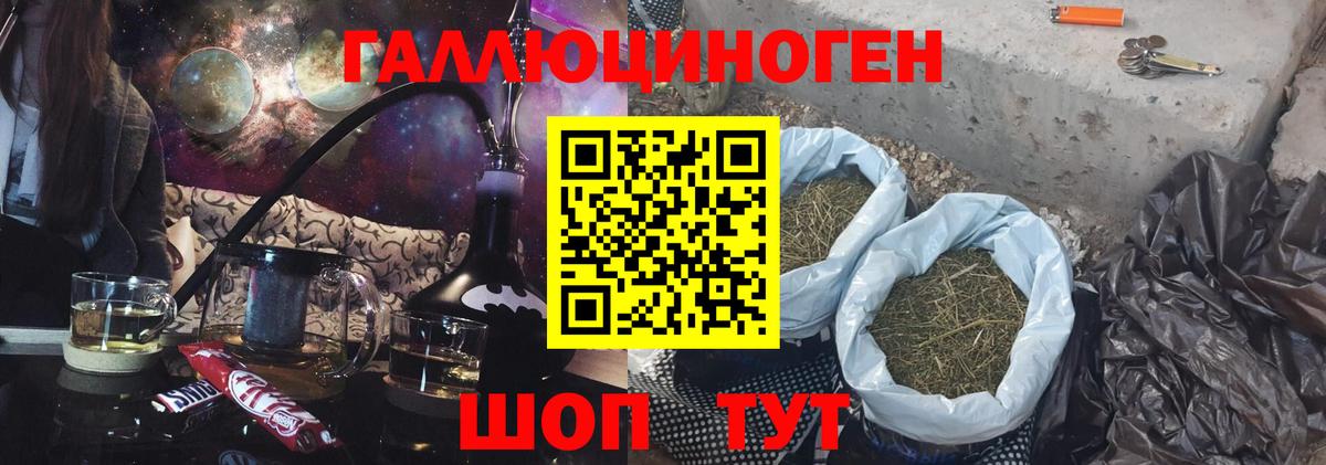 Псилоцибиновые грибы Psilocybine cubensis Осинники