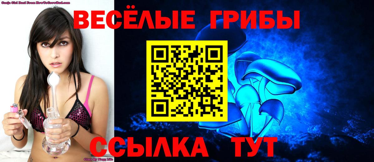 Осинники  Псилоцибиновые грибы GOLDEN TEACHER  Вход с VPN 